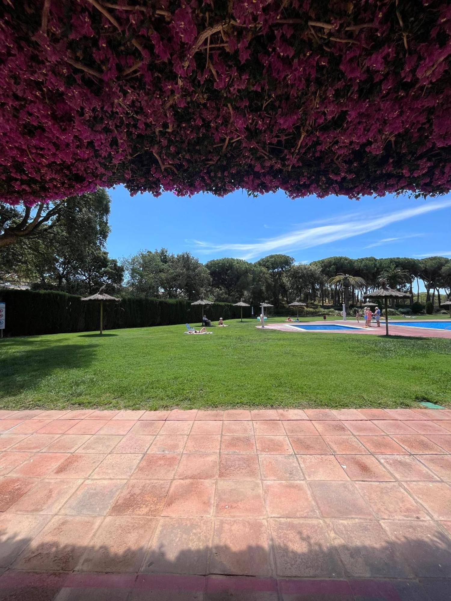 Calella De Palafrugell - Piso Reformado Con Piscina, Wifi Y Parking Gratuito Leilighet Eksteriør bilde